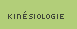 Kinsiologie